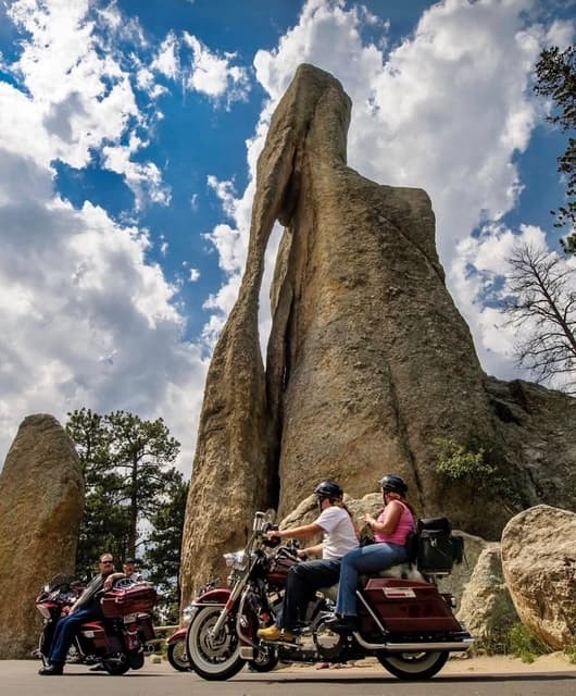 Sturgis Rally bikes lined up on a Black Hills morning