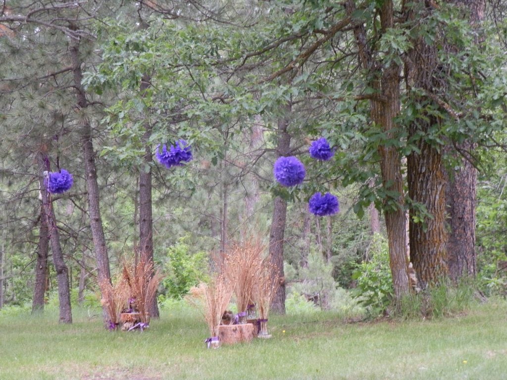 Outdoor Wedding Decorations Blue Pompoms